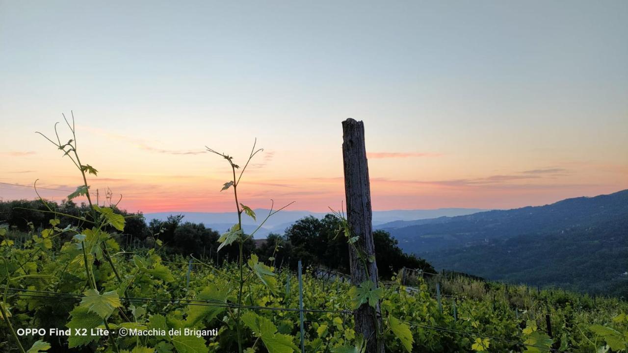 Agriturismo Macchia Dei Briganti - B&B Montefalcione Eksteriør bilde