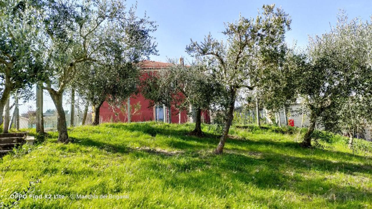 Agriturismo Macchia Dei Briganti - B&B Montefalcione Eksteriør bilde