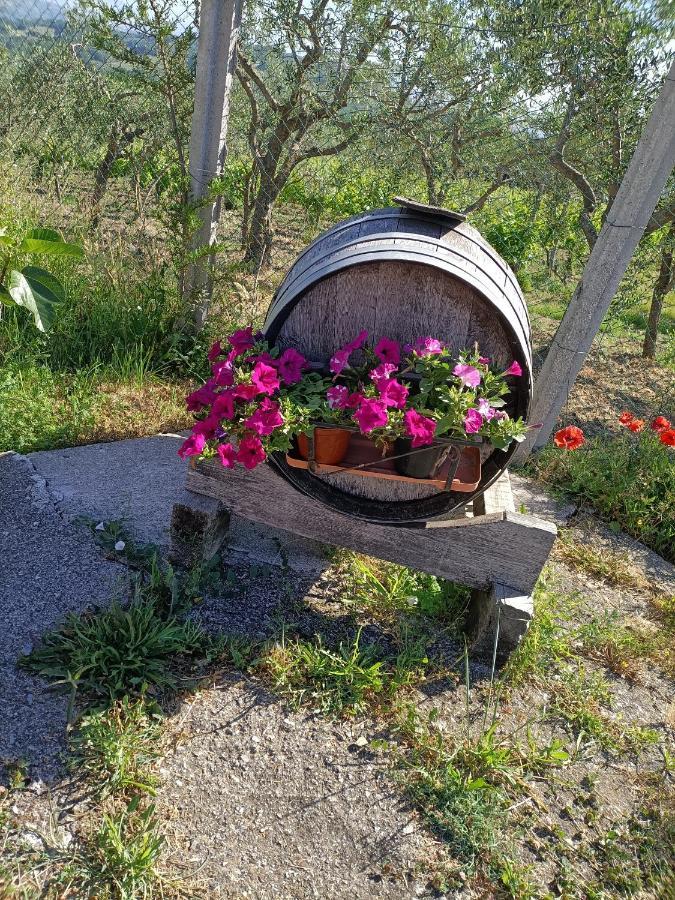 Agriturismo Macchia Dei Briganti - B&B Montefalcione Eksteriør bilde