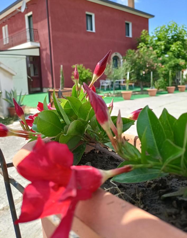 Agriturismo Macchia Dei Briganti - B&B Montefalcione Eksteriør bilde